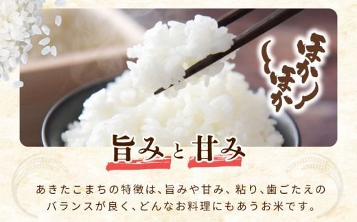 G5554 令和８年産 泉佐野産あきたこまち 10kg【赤坂農園 米 コメ お米 白米】