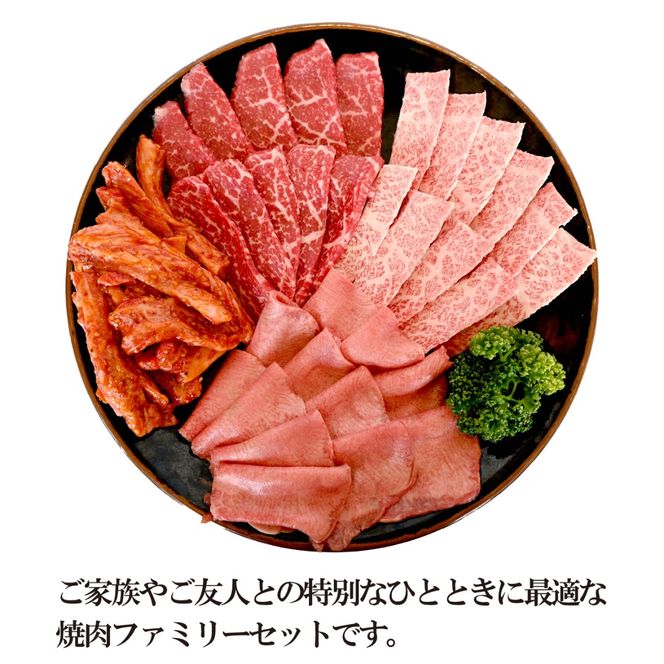 【BBQで大活躍！】宮崎県産和牛焼肉ファミリーセット 計800g（黒毛和牛 牛肉 お肉 タン モモ カルビ 焼肉 焼肉用）
