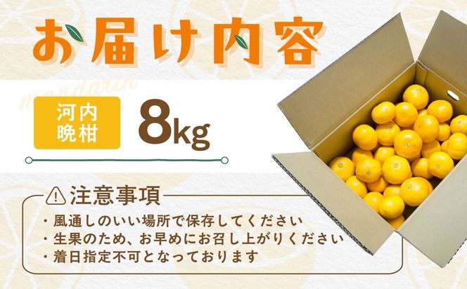 【先行受付】【数量限定】【家庭用】河内晩柑（生果）8kg（2027年5月中旬頃より順次発送） IKTQ008