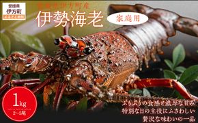 【家庭用】伊勢海老（2～5尾・総量1kg） ※離島への配送不可（2026年9月より順次発送） IKTB028 