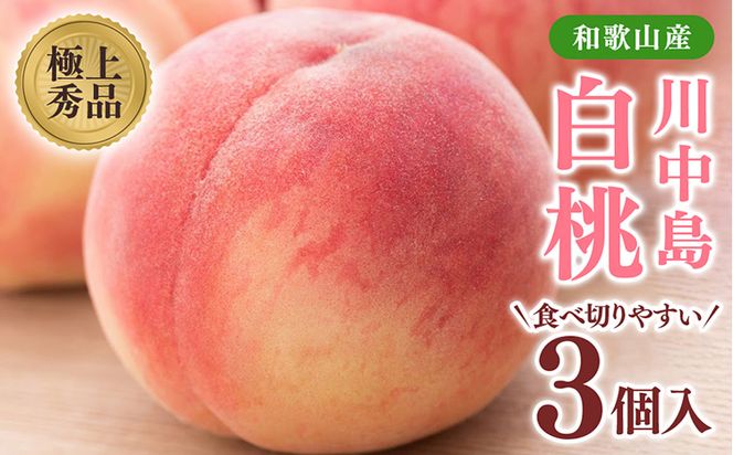 桃先行受付!　【川中島白桃】大玉特秀品　食べきりやすい3個入り　こだわり農家厳選!