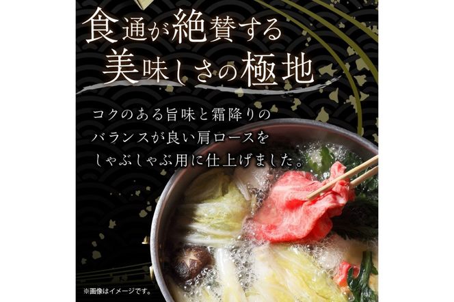 京都産和牛肩ロース　しゃぶしゃぶ用　約500g　【京都モリタ屋専用牧場】　牛肉　MO00015