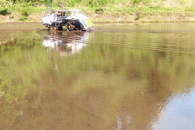 《令和7年産》あきたこまち 精米 10kg（5kg×2袋）秋田県 男鹿市産 吉元耕業 おにぎり お弁当|23_ymk-010201