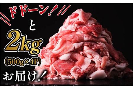 糸島 豚 切り落とし 2kg ( 500g × 4P ) 糸島 【幸栄物産】 [ABH004]