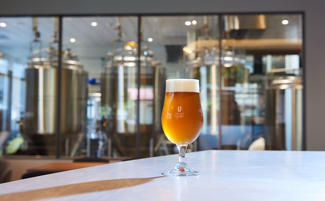 人気クラフトビール詰め合わせ3種類3本セット お酒 長野県 飲み比べ ペールエール IPA ペルジャンホワイト YUDANAKA 晩酌 ギフト 