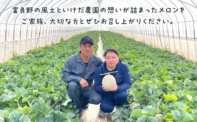 【2026年発送】 富良野メロン 赤肉 2玉入(計3.2kg以上) メロン ふらのメロン フルーツ 果物 くだもの 美味しい 甘い ギフト プレゼント 北海道 富良野市