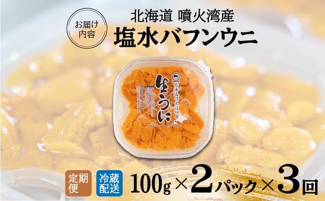 【定期便3カ月】北海道 噴火湾産 塩水 バフンウニ 100g 2パック うに ウニ 雲丹 海鮮 海の幸 魚介類 ウニ丼 お寿司 濃厚 無添加 産地直送 産直 お取り寄せ 山村水産 送料無料 【55250993】