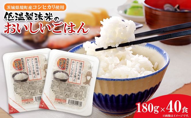 y錧Sz錧YRVqJgp ቷ@ ͂(pbN͂) 180g×40H(1) K1464