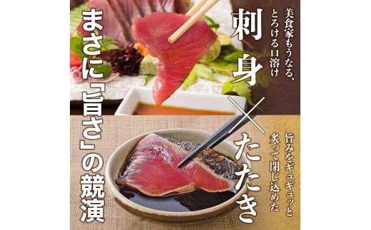 【CF-R7hbk】“土佐料理司”一本釣りとろ鰹の刺身1節・鰹たたき2節セット／鰹のたたきと刺身、うまさの競演。刺身もたたきも両方味わいたいという声にお応えして、セットもご用意しました。故郷納税 2万円代 ギフト プレゼント 海鮮 グルメ 惣菜 食べ物