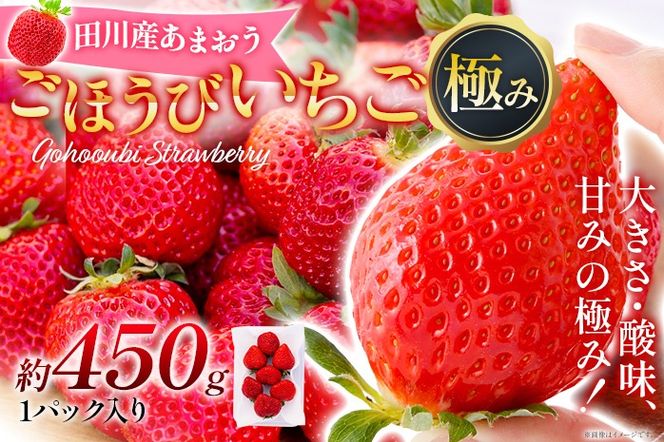 あまおう ごほうびいちご 極み 田川産あまおう 450g ＜2025年1月以降順次発送予定＞ あまおう いちご 苺 大粒 フルーツ 果物 お取り寄せ ご当地グルメ 福岡土産 取り寄せ グルメ 福岡県 食品