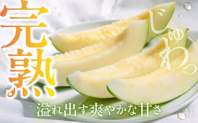 【2026年3月中旬～発送】パパイヤメロン 6〜8玉 約5kg / メロン めろん 果物 フルーツ / 南島原市 / うえだメロン園[SAD008]