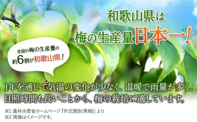 紀州完熟南高梅 ねりうめ酒 完熟梅酒 飲み比べセット 720ml×2本 厳選館 《90日以内に出荷予定(土日祝除く)》 和歌山県 日高町 酒 さけ お酒 飲み比べ 梅酒 1440ml---wsh_genknhu_90d_22_13000_2p---