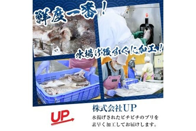 かぼすブリ フィーレ (約1kg) 期間限定 鰤 ブリ フィーレ 半身 魚 魚介類 養殖 大分県産 大分県 佐伯市【EW032】【Up】