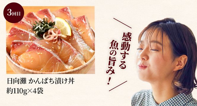 日向灘 海鮮丼 漬け丼 お魚の漬け丼 バラエティ3回定期便　N019-YC712