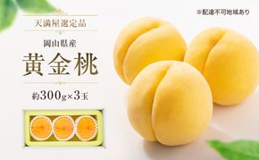 【天満屋選定品】岡山県産 黄金桃（約300g×3玉）2026年発送