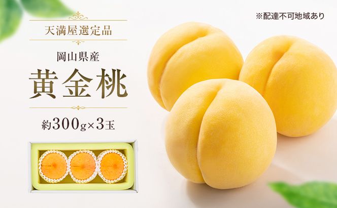 【天満屋選定品】岡山県産 黄金桃（約300g×3玉）2026年発送