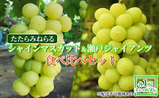 【2026年先行予約】 ぶどう 岡山県産 たたらみねらる シャインマスカット & 瀬戸ジャイアンツ 食べ比べセット 各1房(1房約650g) 《2026年9月中旬-10月中旬頃出荷》 ブドウ フルーツ 果物 数量限定