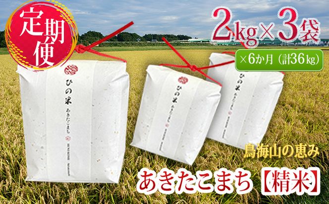 米 お米 《定期便》6kg×6ヶ月 秋田県産 あきたこまち 精米 2kg×3袋 神宿る里の米「ひの米」（お米 小分け）