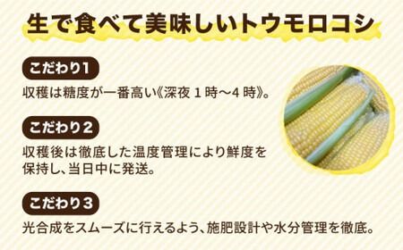 糸島 トウモロコシ 『もきっこ』 黄 （ 8～10本 ） 《糸島》 【内田農業】 [AZH001]