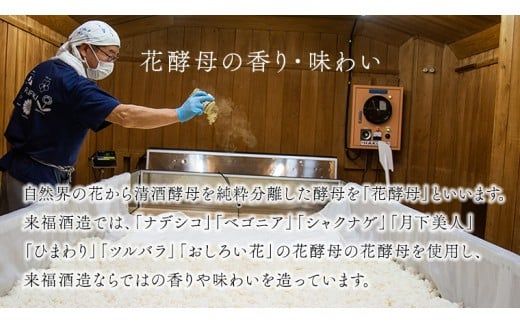 プレミアム故郷セット リキュール セット クラフトジン 芋焼酎 飲み比べ セット [AM016ci]