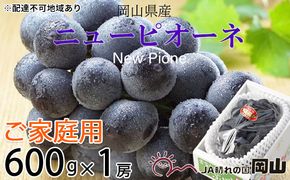 ぶどう 2026年 先行予約 ご家庭用 ニューピオーネ 約600g×1房 ブドウ 葡萄  岡山県産 国産 フルーツ 果物 巨峰 美しい 外観 大粒 高糖度 種なし 皮ごと 芳醇 酸味 美味しい 絶妙 バランス 大人気 