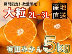 ［先行予約］和歌山県産 有田みかん 大玉 大粒 5kg 2L～3L BA56