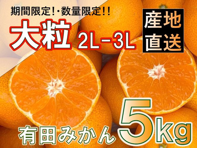 ［先行予約］和歌山県産 有田みかん 大玉 大粒 5kg 2L～3L BA56