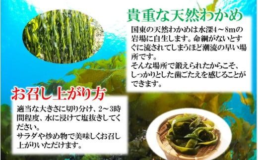 コリコリ食感がクセになる！ 国東 天然 茎わかめ 280g×6P + 140g×2P（湯通し塩蔵 1,960g）_2550R-2