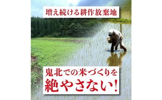【2ヵ月定期便】【R7年度新米】コシヒカリ 計10㎏（5kg×2回） ｜ ご飯 白米 お米 令和7年産 5kg 10kg 精米済み ※離島への配送不可 ※2025年10月上旬～12月下旬頃に順次発送予定