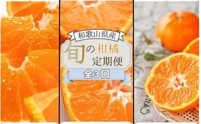 【全3回定期便】みかんの地和歌山から厳選してお届け！　人気の柑橘定期便/みかん 柑橘 果物 フルーツ 定期便 温州 ミカン 不知火 でこぽん せとか オレンジ 【tkb606】