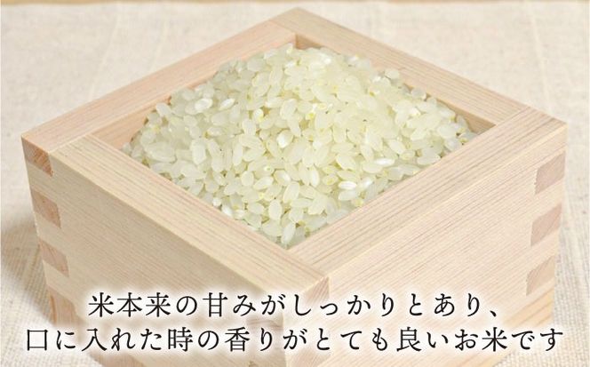 【令和7年産】糸島産 ヒノヒカリ 10kg 糸島市 / 糸島王丸農園 ( 谷口汰一 )【いとしまごころ】[AAZ014]