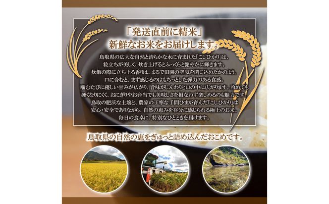 1805.令和7年産　こしひかり精米　10kg 313726_CH002