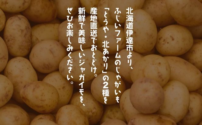 ＜先行予約＞北海道産 じゃがいも2種(とうや/北あかり) 約10kg【55250488】 ジャガイモ 馬鈴薯 ポテト 芋 イモ 野菜 農作物 カレー コロッケ 人気 ふじいファーム