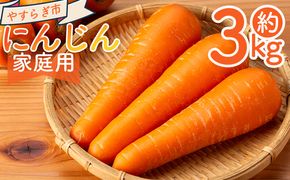 【2025年11月以降発送】にんじん ３ｋｇ 家庭用 yr-0082