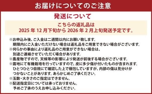 【先行受付】特別栽培スイートスプリング 10kg サイズミックス スイートスプリング みかん フルーツ 果物 果実 特別栽培 九州 熊本県産【2025年12月下旬から2026年2月上旬発送予定】