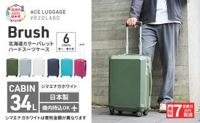 スーツケース 最短 7日以内配送 Brush 北海道 カラーパレット LTD 34L CABIN_No.5807177 シマエナガ ホワイト キャリーケース 旅 キャリー かばん バッグ 国産 北海道 赤平市