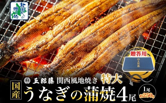 099H4345 【贈答用】国産有頭旨鰻 250g×4尾 特大サイズ【関西風地焼き 老舗 五郎藤 うなぎ 1kg 小分け unagi ひつまぶし 簡単調理】