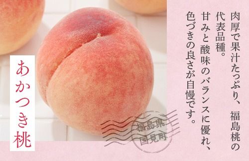 透過式光センサーあかつき桃 特秀5kg相当 15玉～18玉＜ ふくしま未来農業協同組合 ＞ | ふくしま 桃 福島 もも 国見 モモ ※2025年7月中旬～8月上旬頃に順次発送予定 ※沖縄・離島への配送不可