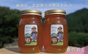 合計1200g 天然蜂蜜 国産蜂蜜 非加熱 生はちみつ 岐阜県 美濃市産 春 (蜂蜜600g入りガラス瓶2本セット)A6 深田養蜂のハチミツ