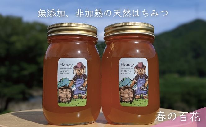 合計1200g 天然蜂蜜 国産蜂蜜 非加熱 生はちみつ 岐阜県 美濃市産 春 (蜂蜜600g入りガラス瓶2本セット)A6 深田養蜂のハチミツ
