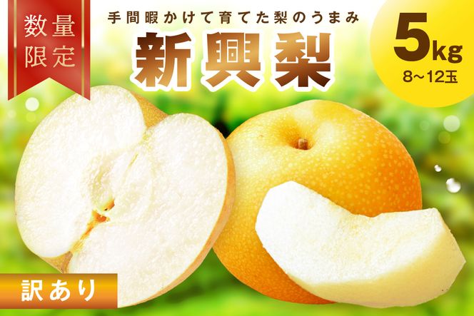 ys{Oszys\^ʌ100z󂠂 V@5kgi2026N10{`j@FK00025