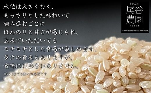 【早期予約】【9ヶ月定期便】【令和8年度産米】尾谷農園 自然栽培米コシヒカリ 玄米5kg ※2026年10月～発送