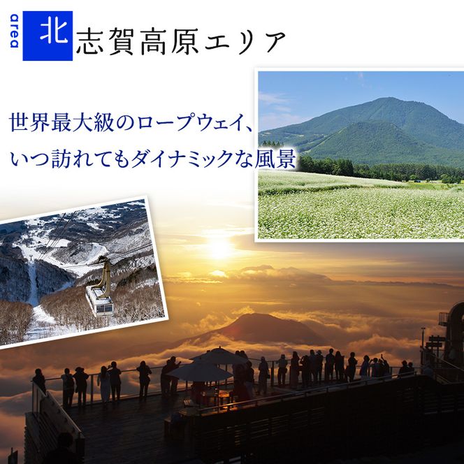 山ノ内町内宿泊補助券（30枚）1年間有効 150,000円分 旅行 宿泊券 ホテル 旅館 チケット 宿泊 補助券 志賀高原 湯田中渋温泉郷 北志賀高原 地獄谷野猿公苑  温泉 ギフト 自然 観光 長野県 信州 冬 スキー