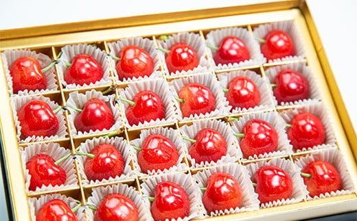 FYN9-926 ≪2026年先行予約≫5月10日母の日 贈答用 山形県産 さくらんぼ 佐藤錦 24粒 化粧箱入 2026年5月上旬から発送 加温 ハウス栽培 果実 果物 くだもの フルーツ 食品 デザート 化粧箱 贈答 ギフト プレゼント母 母の日 感謝 産地直送 山形県 西川町 月山