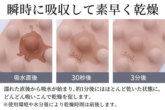 soil ドライングボード for ペットボトル【ホワイト】日本製 ソイル 珪藻土 水滴 吸水 速乾 乾燥 水切り トレー スタンド アスベスト不使用|drlz-120101a