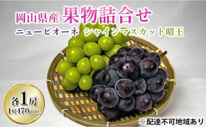 ぶどう 2026年 先行予約 詰め合わせ ニュー ピオーネ 1房 (1房470g以上) シャイン マスカット 晴王 1房 (1房470g以上) 化粧箱入り 岡山県産 国産 フルーツ ギフト 果物 贈答品 セット [№5735-1445]