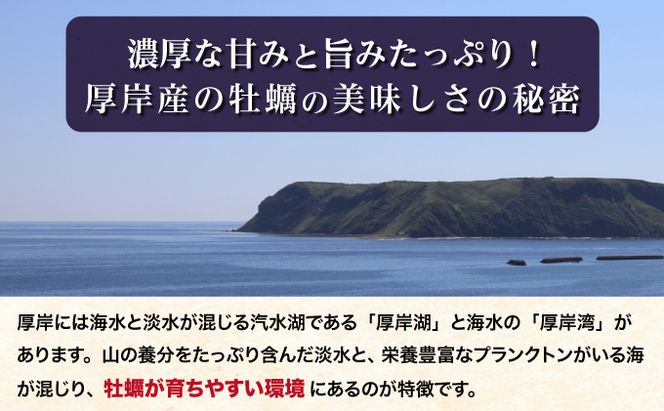 北海道厚岸産【殻かき三種】食べ比べ セット 魚貝類 生牡蠣 送料無料 新鮮 濃厚 大粒 