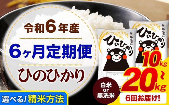 【6ヶ月定期便】令和6年産 白米 or 無洗米 ひのひかり 定期便あり 5kg 10kg 15kg 20kg 《申込み翌月から発送》令和6年産 熊本県産 ふるさと納税 無洗米 白米 精米 ひの 米 こめ ふるさとのうぜい ヒノヒカリ コメ お米---hn6tei_132000_10kg_mo6_mf_h---