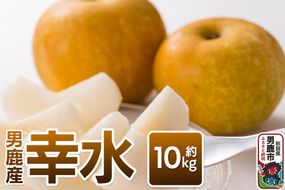 【令和8年度 早期受付】幸水 約10kg 9月上旬～9月中旬発送 梨 旬の果物 ギフト 秋田県 男鹿市 男鹿ファーム直売所|23_ofc-051001