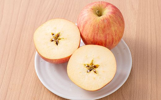 FYN6-596 ご家庭用 山形県産 品種おまかせ りんご 赤色系 約2kg 2026年10月中旬から順次発送 果物 くだもの フルーツ 林檎 リンゴ アップル 秋果実 生産者支援 農業者支援 支援品 自宅用 家庭用 訳アリ ワケアリ 山形県 西川町 月山